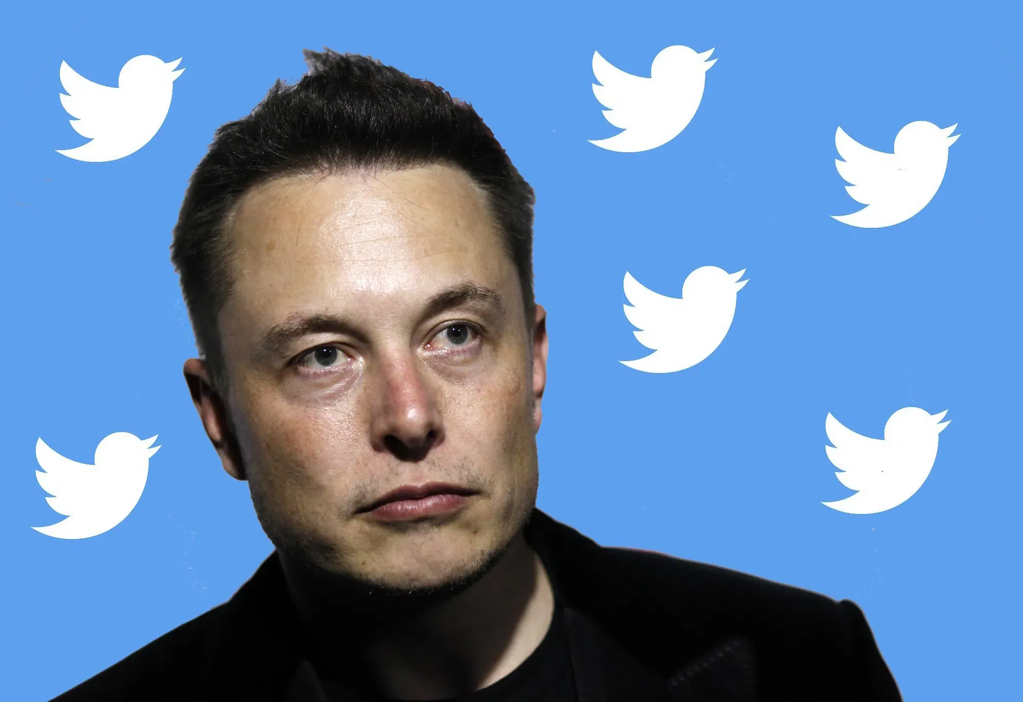 elon-musk-twitter-1.webp